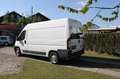 Peugeot Boxer  H 2  Lang 2  Klima AHK Weiß - thumbnail 13