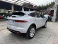 Jaguar E-Pace 2.0D 180 CV AWD aut. R-Dynamic S Beige - thumbnail 7