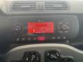 Fiat Panda 1.0 70cv S&S Hybrid E6d-T City Cross Rouge - thumbnail 14
