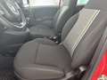 Fiat Panda 1.0 70cv S&S Hybrid E6d-T City Cross Rouge - thumbnail 9