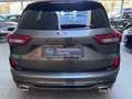 Ford Kuga 2.5 Duratec Hybrid FHEV St-Line X mit Winter-Paket Grau - thumbnail 7
