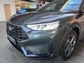 Ford Kuga 2.5 Duratec Hybrid FHEV St-Line X mit Winter-Paket Grau - thumbnail 12