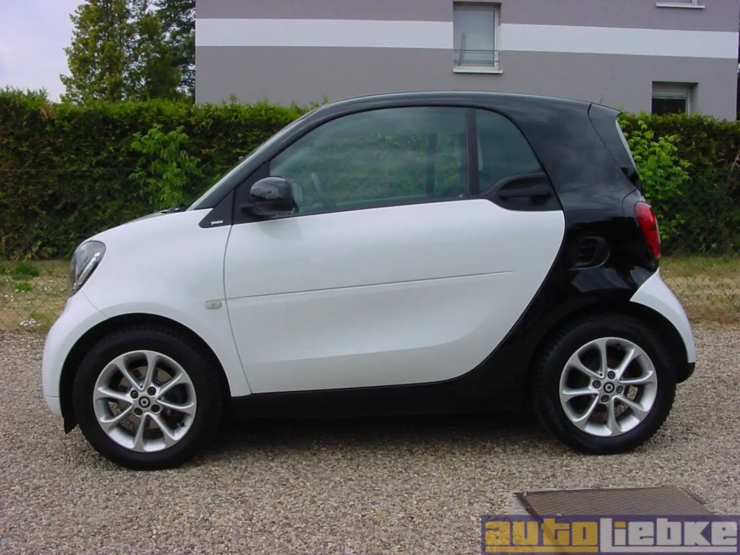 smart forTwo COUPE PASSION KLIMAAUT,SITZHZG,PANO,BT,GRA Weiß - 2