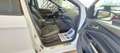 Ford Kuga 1.5 TDCI 120 CV ST-Line Full Optional... Bianco - thumbnail 8