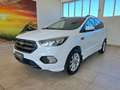 Ford Kuga 1.5 TDCI 120 CV ST-Line Full Optional... Bianco - thumbnail 1
