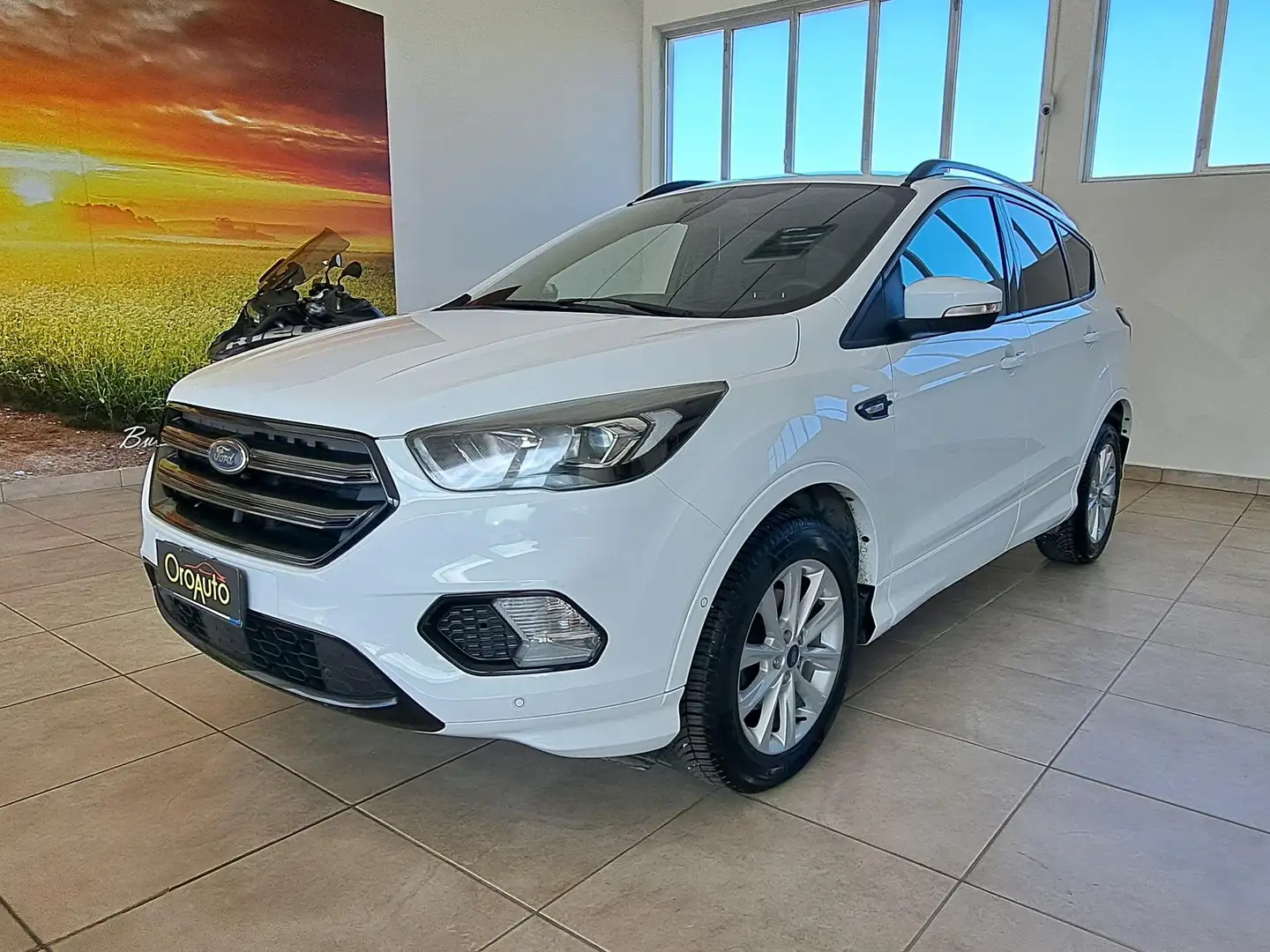 Ford Kuga 1.5 TDCI 120 CV ST-Line Full Optional... Bianco - 1