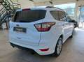 Ford Kuga 1.5 TDCI 120 CV ST-Line Full Optional... Bianco - thumbnail 5