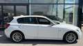 BMW 120 1er-Reihe Diesel Allrad (F20)  xDrive Österreich- Weiß - thumbnail 7