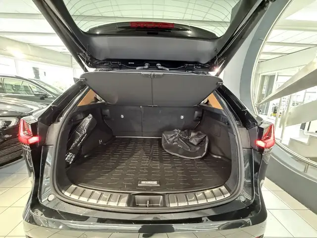 Lexus NX 450h+ NX 450 h+ E-Four Ansicht 30