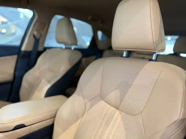 Lexus NX 450h+ NX 450 h+ E-Four Ansicht 18