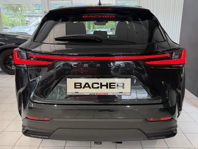 Lexus NX 450h+ NX 450 h+ E-Four Ansicht 6