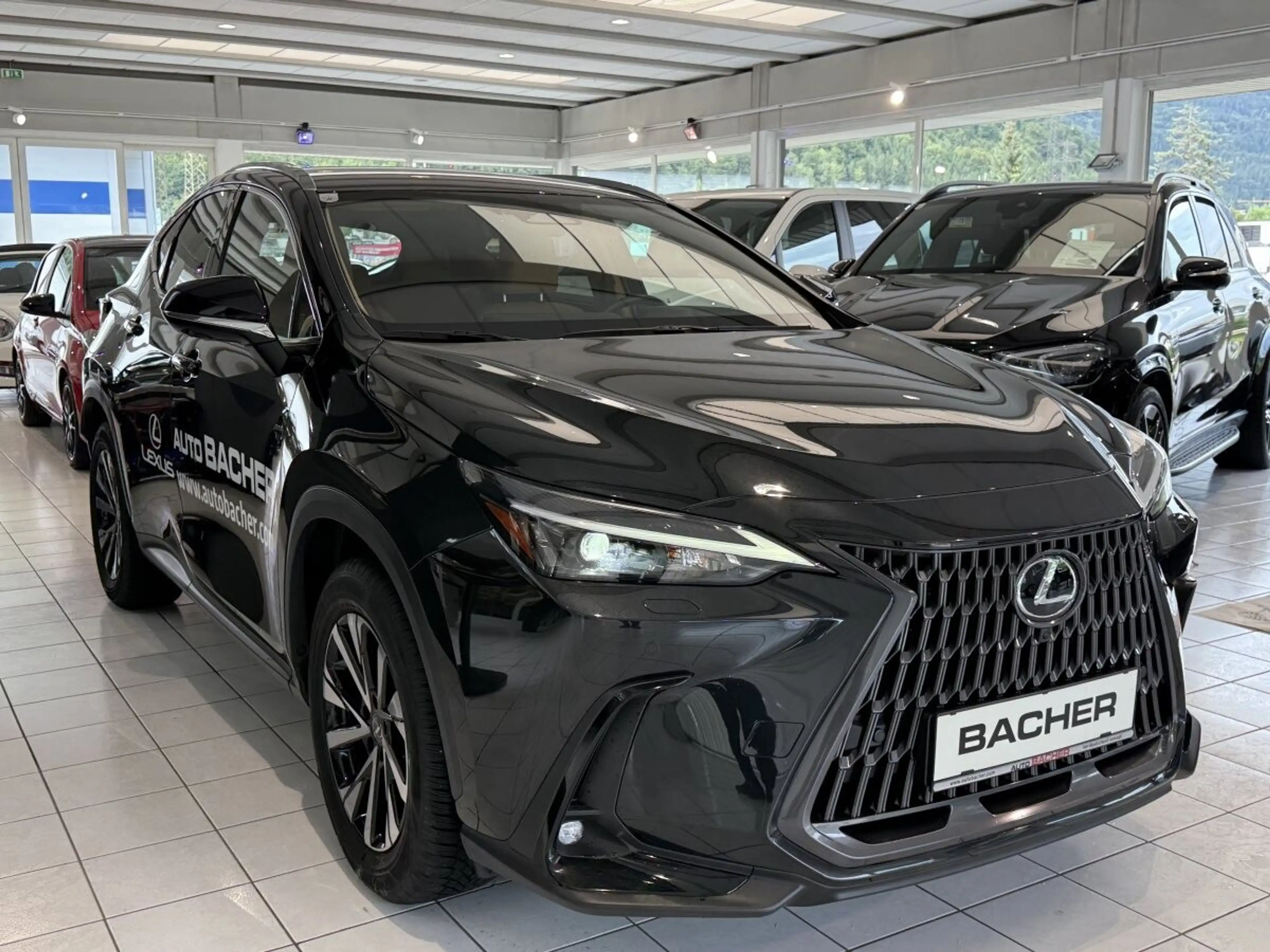 Lexus NX 450h+ NX 450 h+ E-Four — photo 8