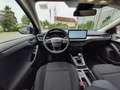 Ford Focus Titanium 1,0 l EcoBoost MHEV Mild-Hybrid Schwarz - thumbnail 11