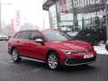 Volkswagen Golf VIII Variant 2.0 TDI Alltrack LED Navi DAB Rouge - thumbnail 6