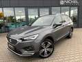 SEAT Tarraco Xcellence*7-Sitze*Pano*Sthzg*20Zoll* Grau - thumbnail 1