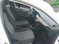 Opel Corsa 1.5D DT S/S Edition 100 Blanc - thumbnail 7