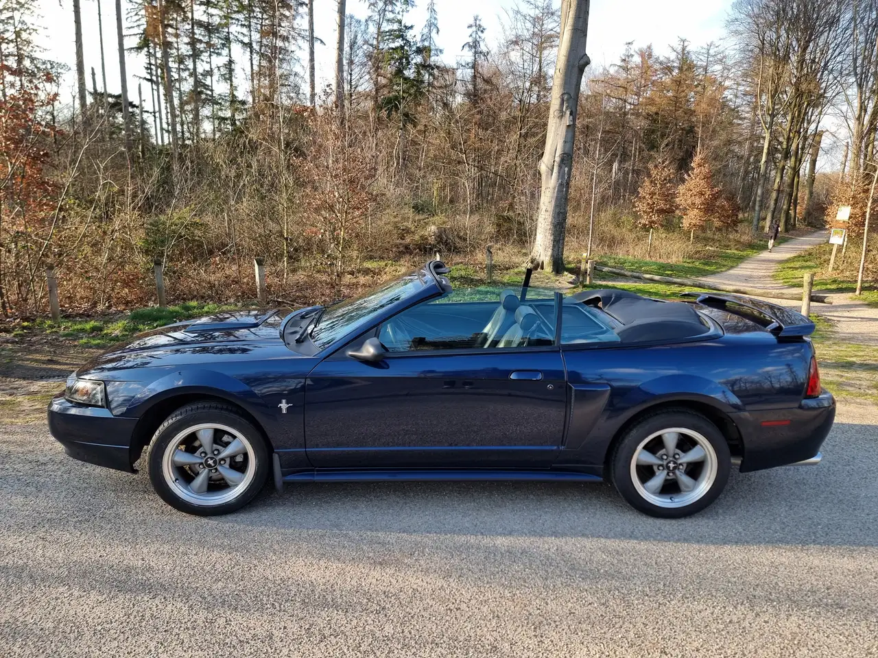 Ford Mustang 3.8 V6 Convertible, foto 3