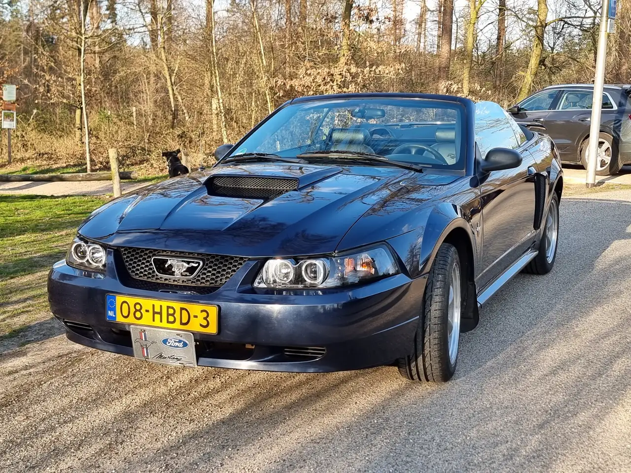 Ford Mustang 3.8 V6 Convertible, foto 5