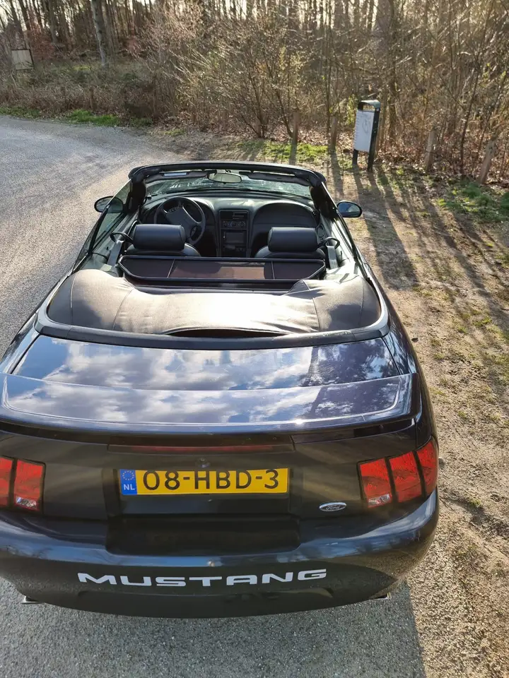 Ford Mustang 3.8 V6 Convertible, foto 7