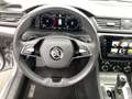 Skoda Superb 4x4 Style TDI DSG Silber - thumbnail 10