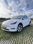 Tesla Model Y RWD - thumbnail 1