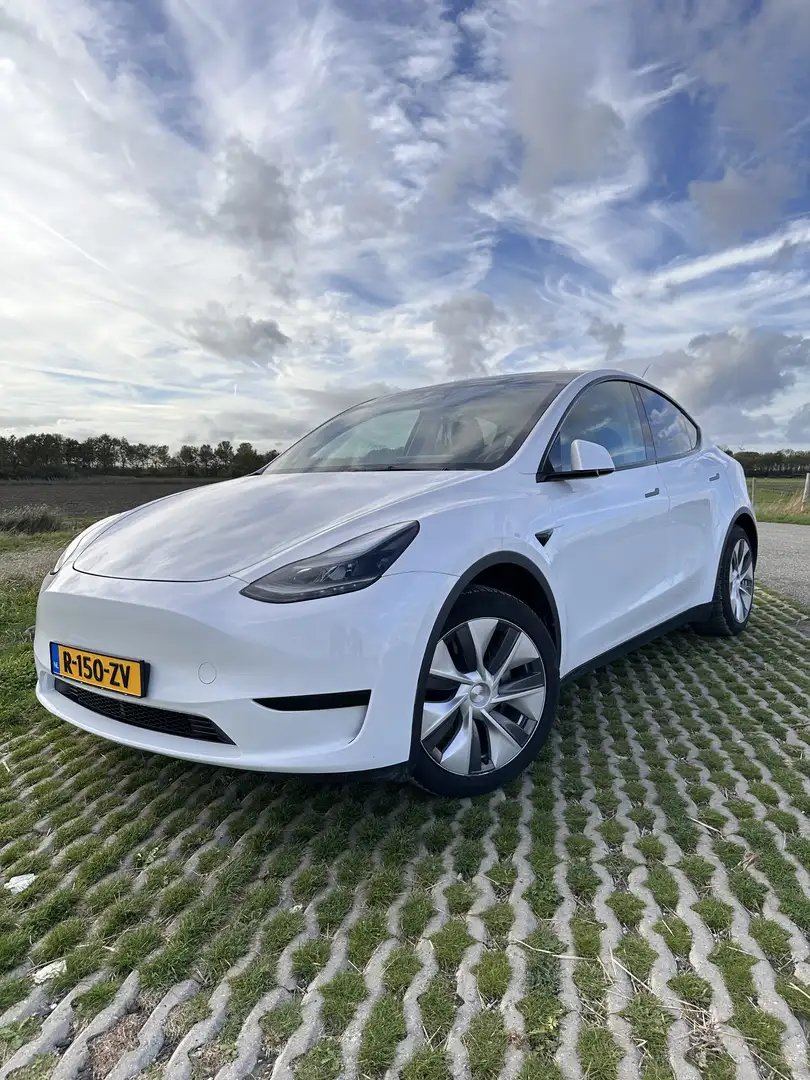 Tesla Model Y RWD - 1