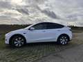 Tesla Model Y RWD - thumbnail 5