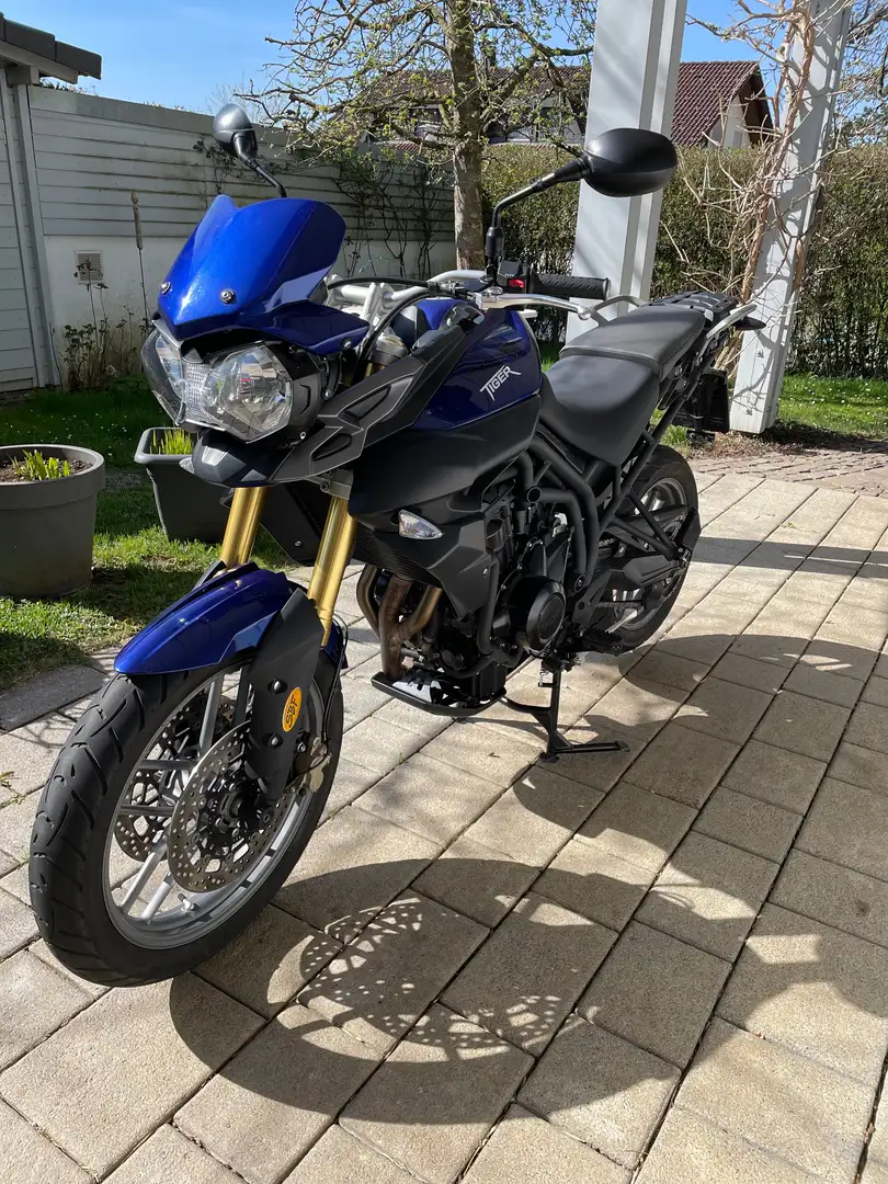 Triumph Tiger 800 ABS Blu/Azzurro - 2