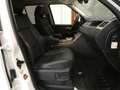 Land Rover Range Rover Sport 3.0TDV6 S Aut. Blanco - thumbnail 8