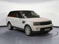 Land Rover Range Rover Sport 3.0TDV6 S Aut. Blanco - thumbnail 1