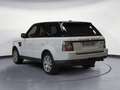 Land Rover Range Rover Sport 3.0TDV6 S Aut. Blanco - thumbnail 16
