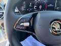 Skoda Fabia 1.0 TSI Ambition 70kW Blanco - thumbnail 26
