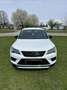 CUPRA Ateca 2,0 TSI 4Drive DSG Weiß - thumbnail 6