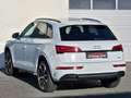 Audi Q5 40TDI quattro Sline Stronic *Optikpaket*Matrix*B&O Weiß - thumbnail 11