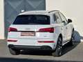 Audi Q5 40TDI quattro Sline Stronic *Optikpaket*Matrix*B&O Weiß - thumbnail 10