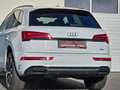 Audi Q5 40TDI quattro Sline Stronic *Optikpaket*Matrix*B&O Weiß - thumbnail 12