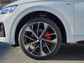 Audi Q5 40TDI quattro Sline Stronic *Optikpaket*Matrix*B&O Weiß - thumbnail 13