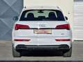 Audi Q5 40TDI quattro Sline Stronic *Optikpaket*Matrix*B&O Weiß - thumbnail 7