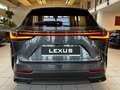 Lexus NX 350 EXE.4 x 4-HUD-360 CAM.-INTERIORP.-PANORMA Grau - thumbnail 6