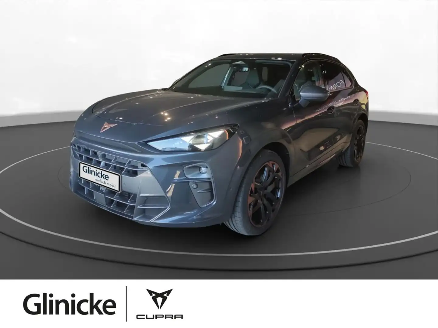 CUPRA Terramar 2.0 TSI DSG VZ 4Drive AHK HD Matrix Grau - 1