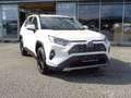 Toyota RAV 4 RAV4 2,5 Hybrid Active 2WD Aut. *Mwst. Blanc - thumbnail 1