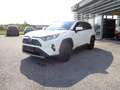 Toyota RAV 4 RAV4 2,5 Hybrid Active 2WD Aut. *Mwst. Blanc - thumbnail 8