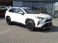 Toyota RAV 4 RAV4 2,5 Hybrid Active 2WD Aut. *Mwst. Blanc - thumbnail 2