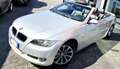 BMW 320 CABRIO MANUALE MECCANICA PERFETTA! - thumbnail 2