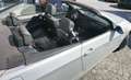 BMW 320 CABRIO MANUALE MECCANICA PERFETTA! - thumbnail 6
