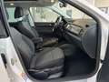 Skoda Fabia Combi Clever Best of 1.0 TSI Navi ACC LED Weiß - thumbnail 17