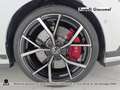 Volkswagen Golf GTI 2.0 tsi gti clubsport 300cv dsg Bianco - thumbnail 12