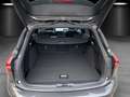 Ford Focus Ford Focus Turnier ST-Line X B&O PDC Heck. Elek. Grau - thumbnail 13