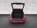 Skoda Rapid/Spaceback Spaceback 1.6 TDI DSG Elegance NAV SHZ PDC Rot - thumbnail 16