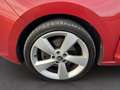 Skoda Rapid/Spaceback Spaceback 1.6 TDI DSG Elegance NAV SHZ PDC Rot - thumbnail 17